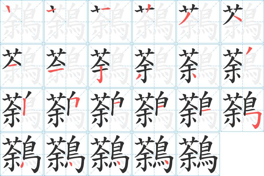 鷋字的笔顺，共21画