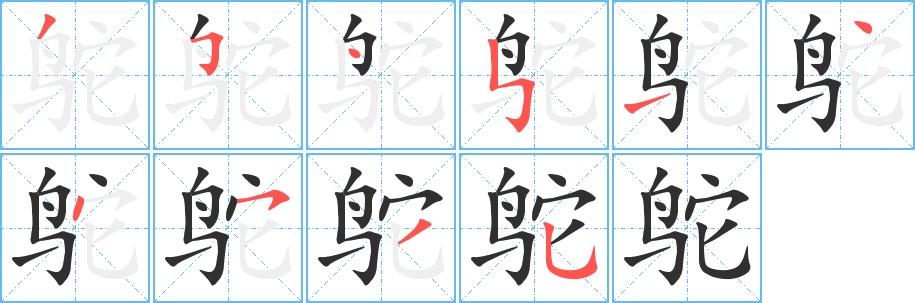 鸵字的笔顺图片