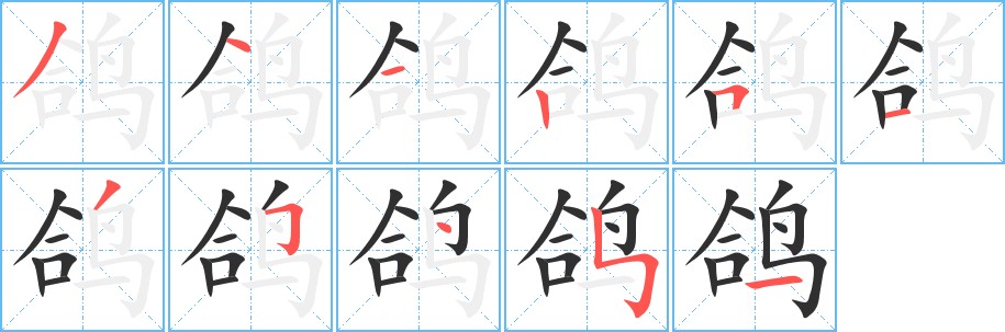 鸽字的笔顺，共11画